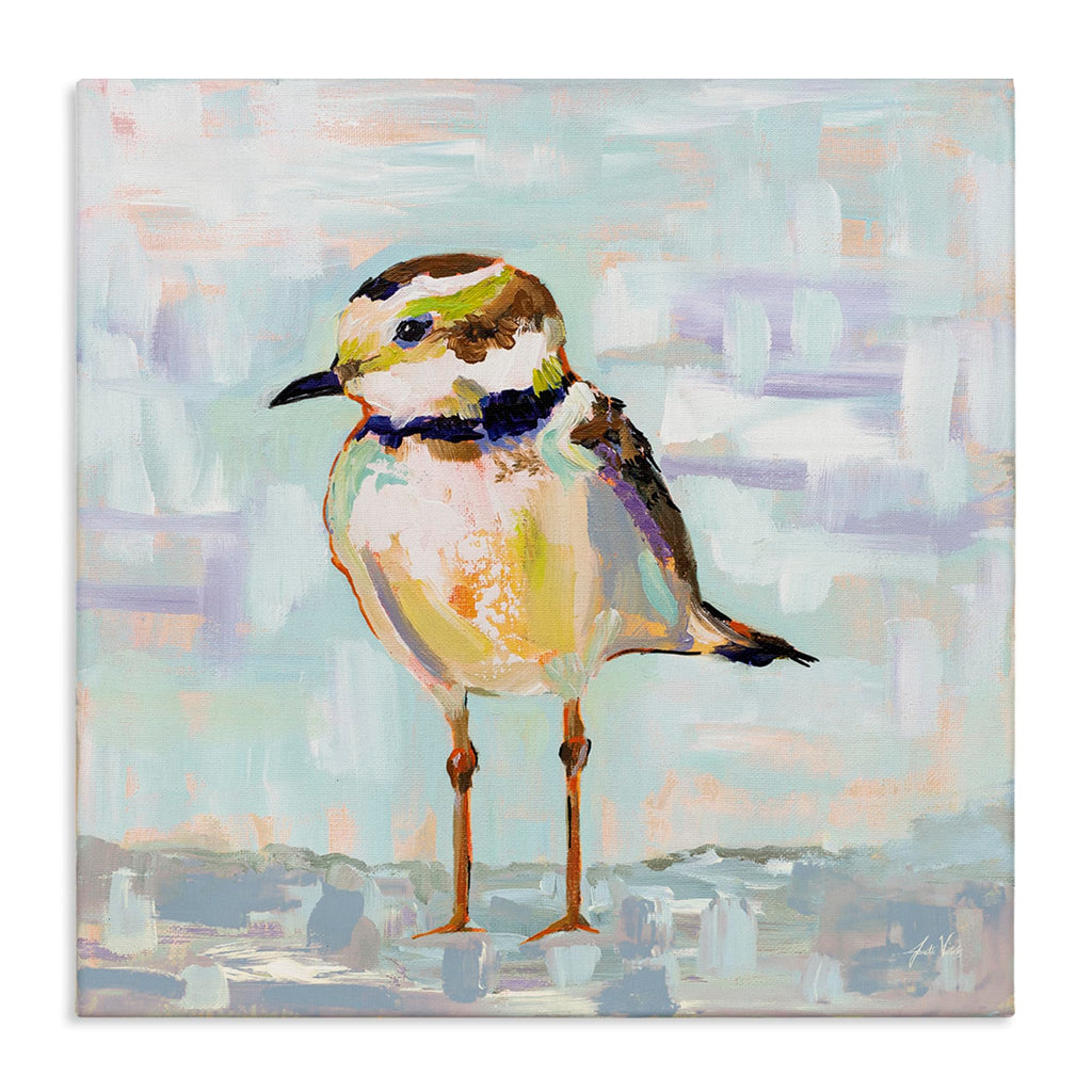 Stupell Industries Coastal Plover Patchwork, 17 x 17 Inch Canvas Wall Art | Stupell Industries · By Jeanette Vertentes · Ready to hang · Nautical coastal charm for any room · Made in USA