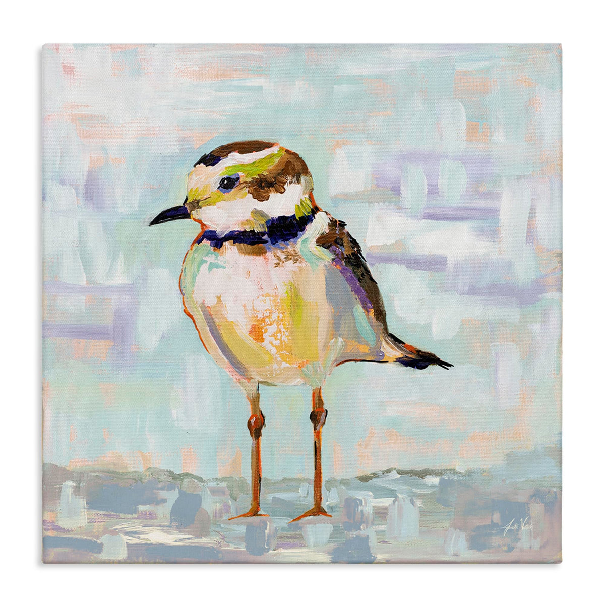 Stupell Industries Coastal Plover Patchwork, 17 x 17 Inch Canvas Wall Art | Stupell Industries · By Jeanette Vertentes · Ready to hang · Nautical coastal charm for any room · Made in USA