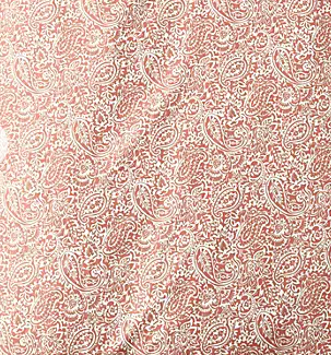 Land's End 400-count No-Iron Coral Paisley Duvet - Full/Queen